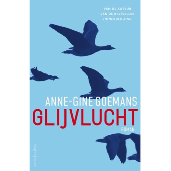 Glijvlucht - Anne-Gine Goemans