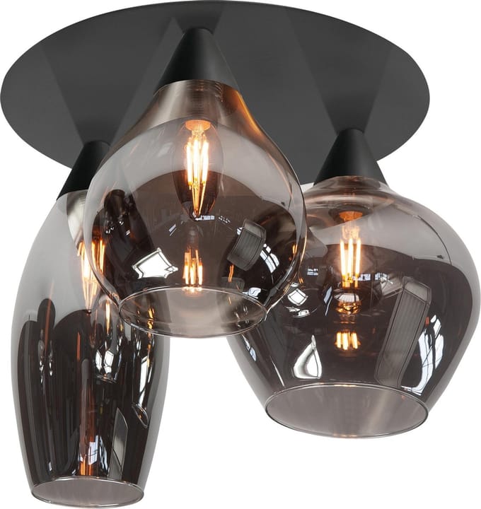 HighLight plafondlamp Cambio - zwart / smoke