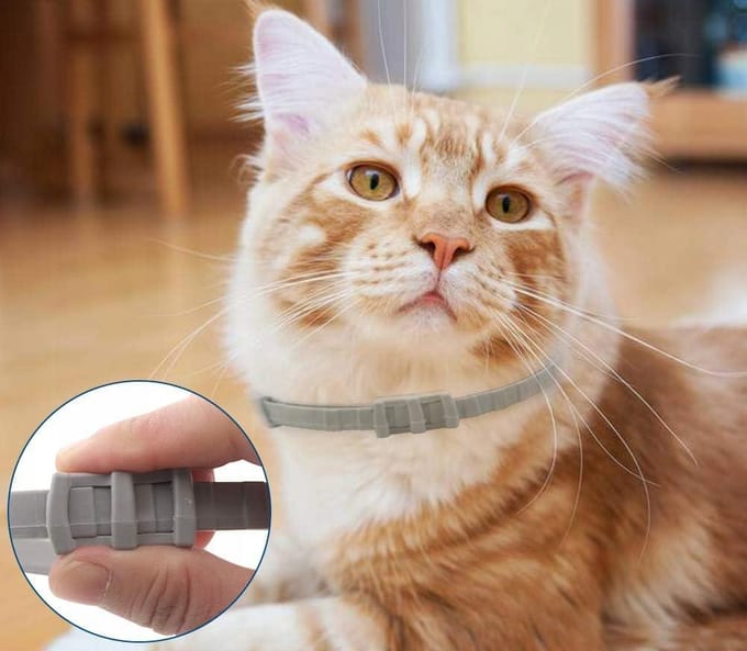 2X Halsband Voor Kat Tegen Vlooien Teken Universeel
