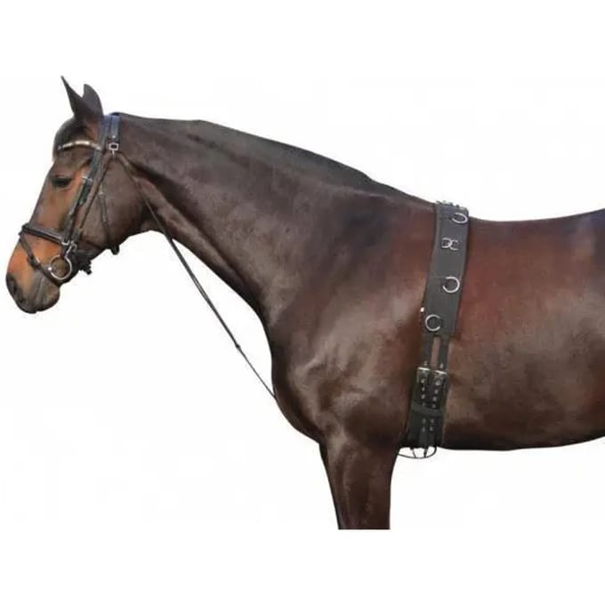 Noseband voor paard York