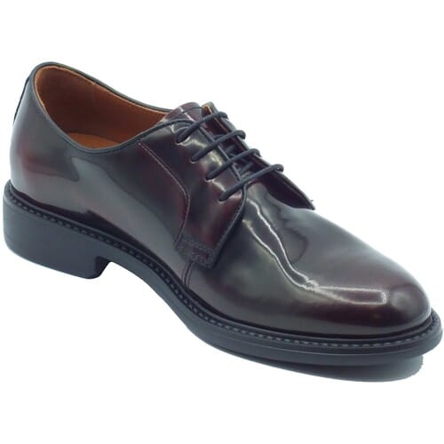 Nette Schoenen NeroGiardini I601251U Cordovan Col.