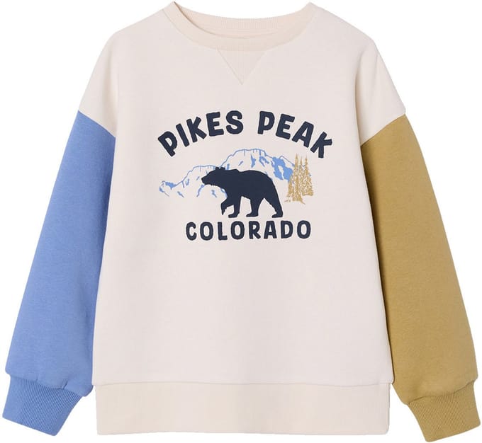 Vertbaudet Sweater voor jongens met ronde hals en lange mouwen