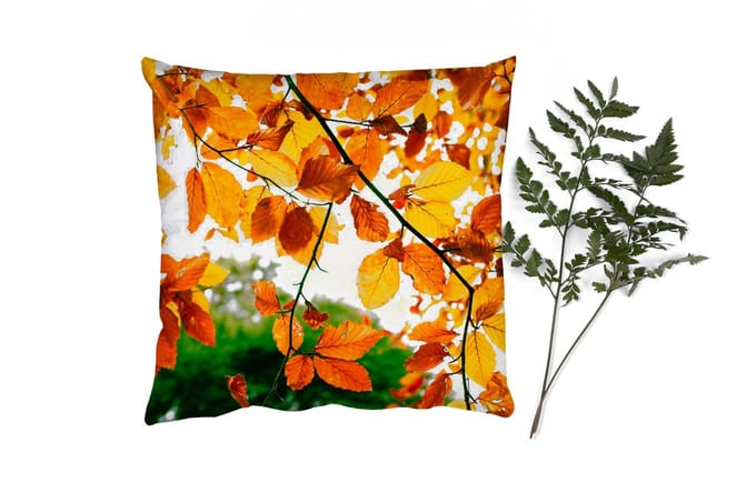 Sierkussens - Kussentjes Woonkamer - 60x60 cm - Herfstbladeren - Boom - Landelijk