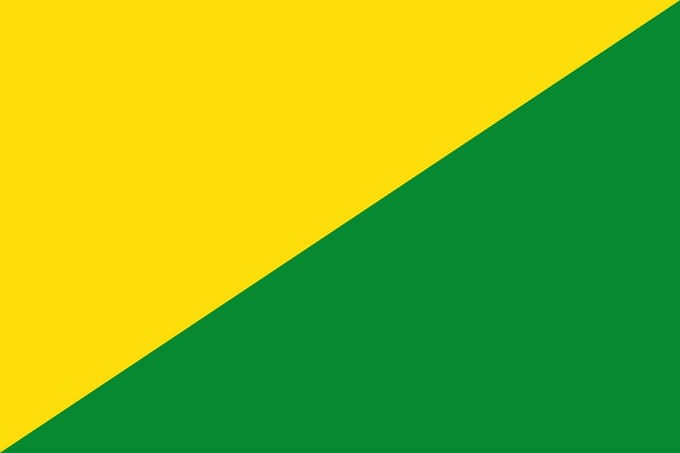 Vlag La Bruyère 100x150cm