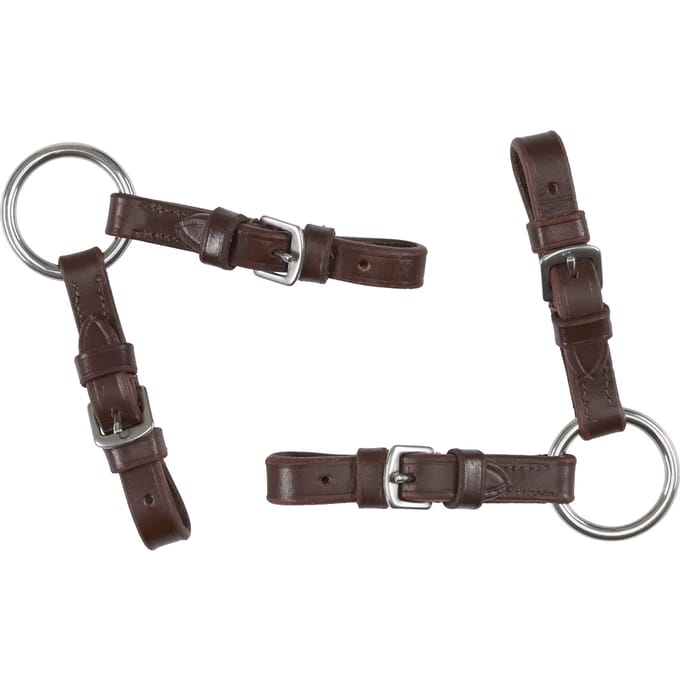 Alliantie voor bits HorseGuard
