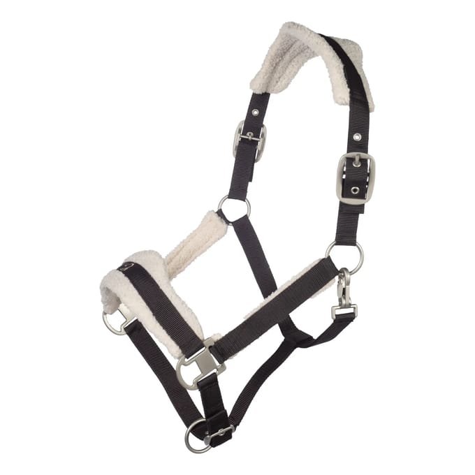 Bont halster voor paard Lauria Garrelli Arezzo