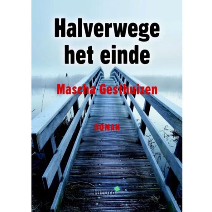 Halverwege Het Einde - Mascha Gesthuizen