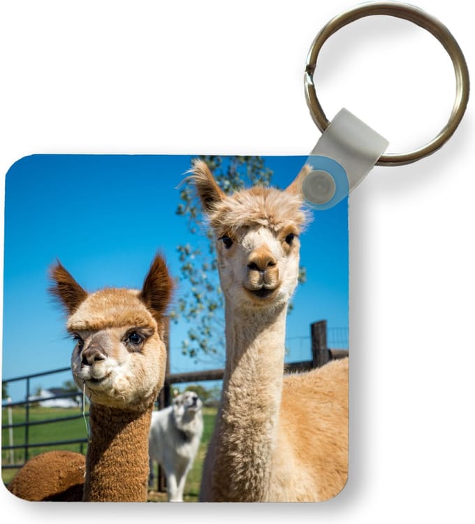 Sleutelhanger - Uitdeelcadeautjes - Alpaca - Planten - Lucht - Plastic