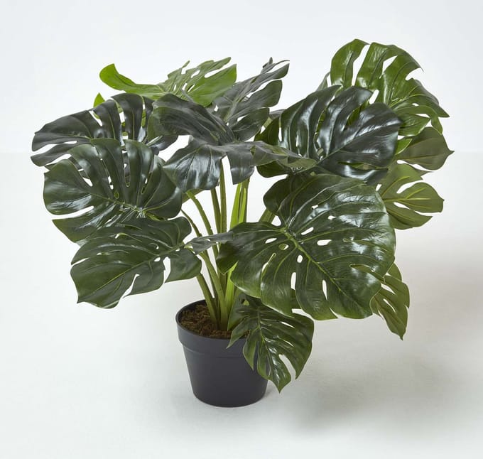 Homescapes Monstera kunstplant in pot - 60 cm