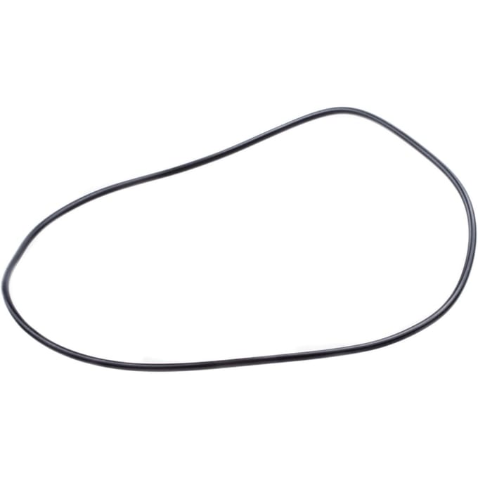 O-ring