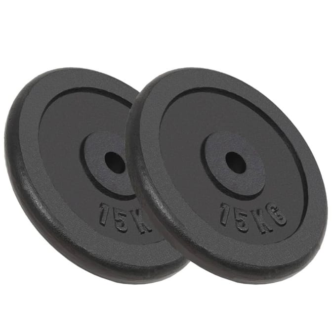 vidaXL - Halterschijven - 2 - st - 2x15 - kg - gietijzer