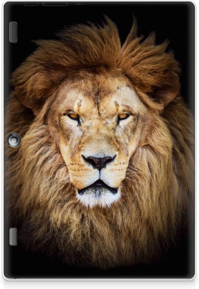 Lenovo Tab 10 | Tab 2 A10-30 Back Case Leeuw