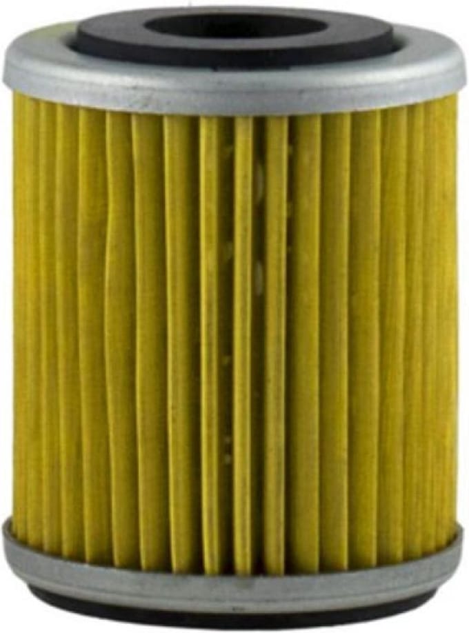 Filtre à huile Champion pour Quad Yamaha 400 Yfm Fw Big Bear 2000 à 2006 Neuf