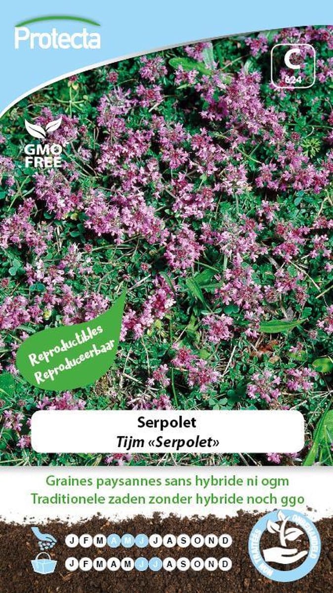 Protecta Kruiden zaden: Tijm Serpolet
