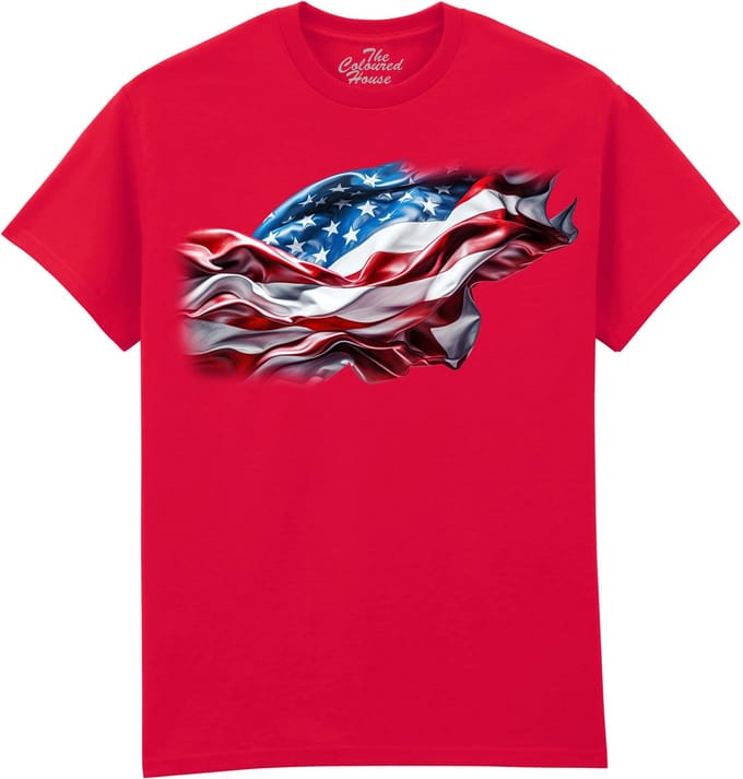 American Flag The Coloured House T-shirt S