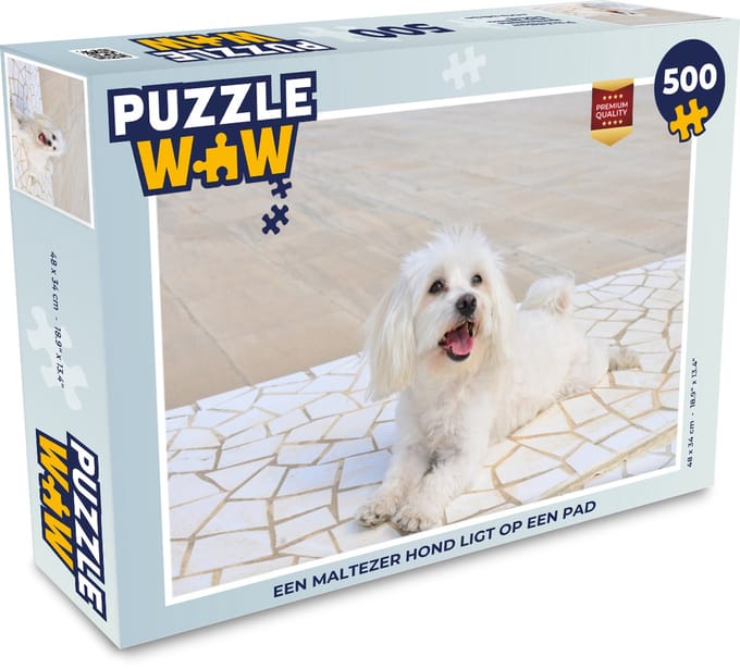 Puzzel Een Maltezer hond ligt op een pad - Legpuzzel - Puzzel 500 stukjes