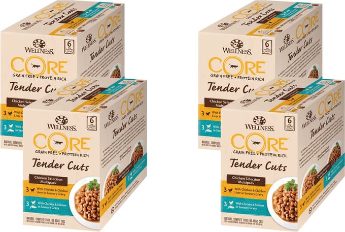 Wellness Core Tender Cuts Chicken Selection - Kattenvoer - 4 x Kip 6x85 g