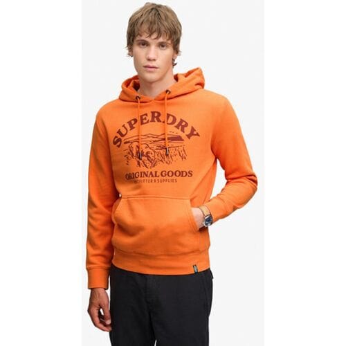 Hoodie Superdry Outdoor Icon