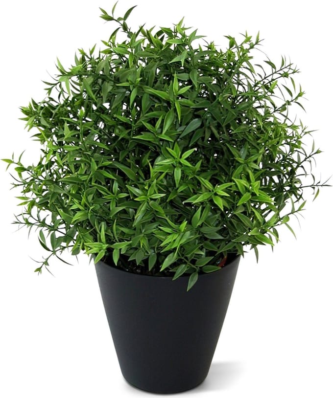 Eucalyptus kunstplant 35cm