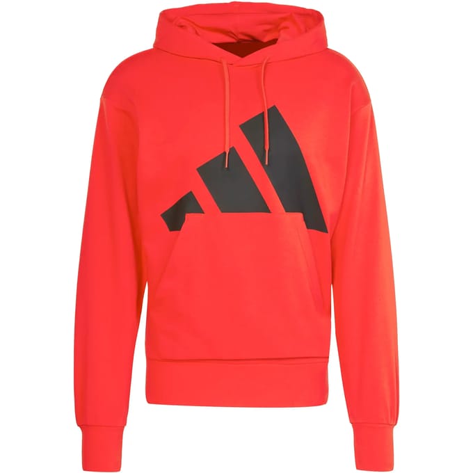 Hoodie adidas Essentials Big Logo