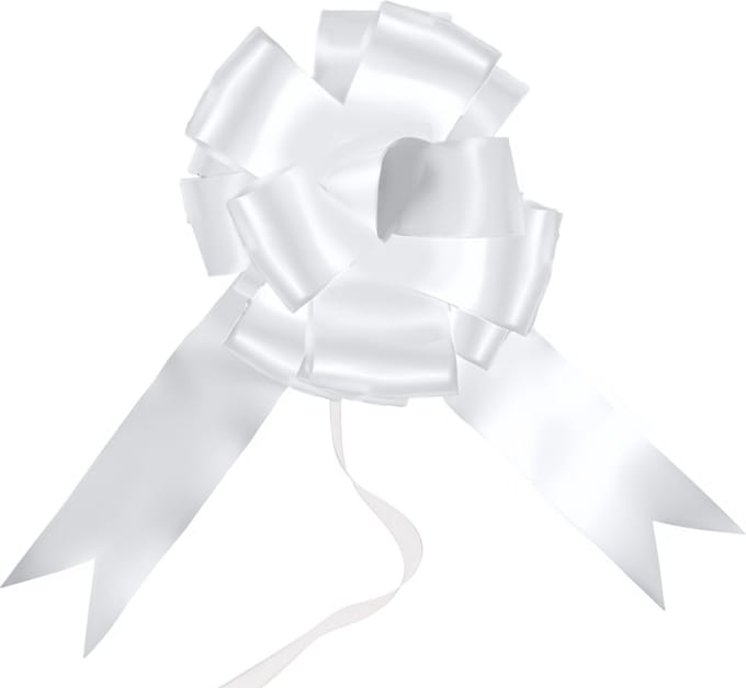 Santex trouwauto lint met strikjes - Bruiloft - wit satijnglans - just married - autodecoratie set