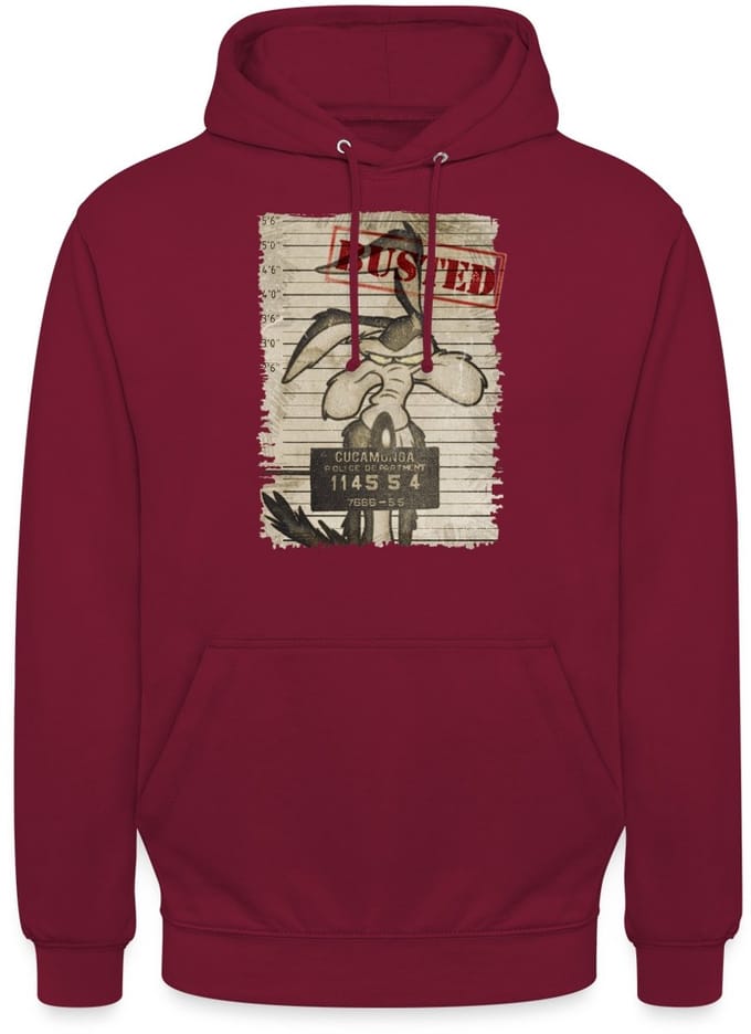 Looney Tunes Wile E. Coyote Busted Hoodie Unisex