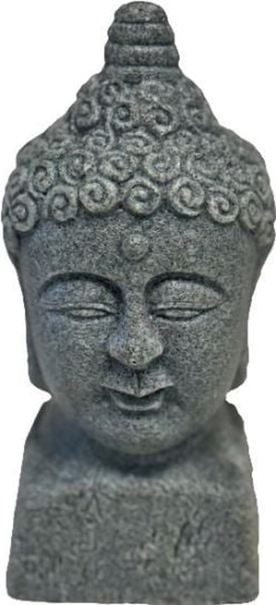 SuperFish Eco Deco Buddha Head