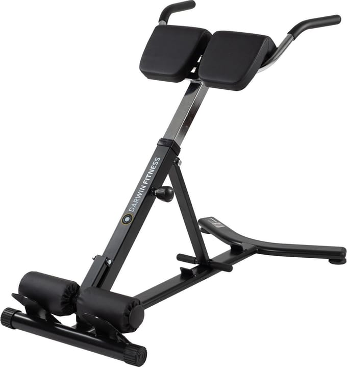 Darwin Hyperextension Rugtrainer