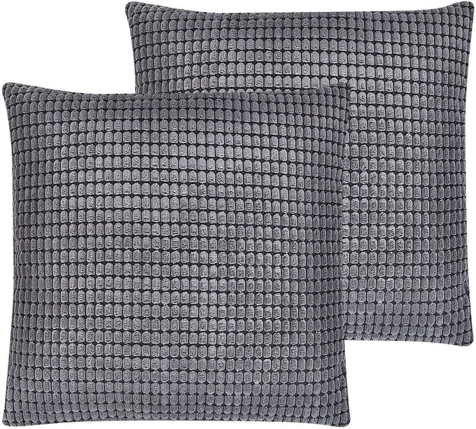 ASPIDISTRA - Sierkussen set van 2 - Grijs - 45 x 45 cm - Fluweel