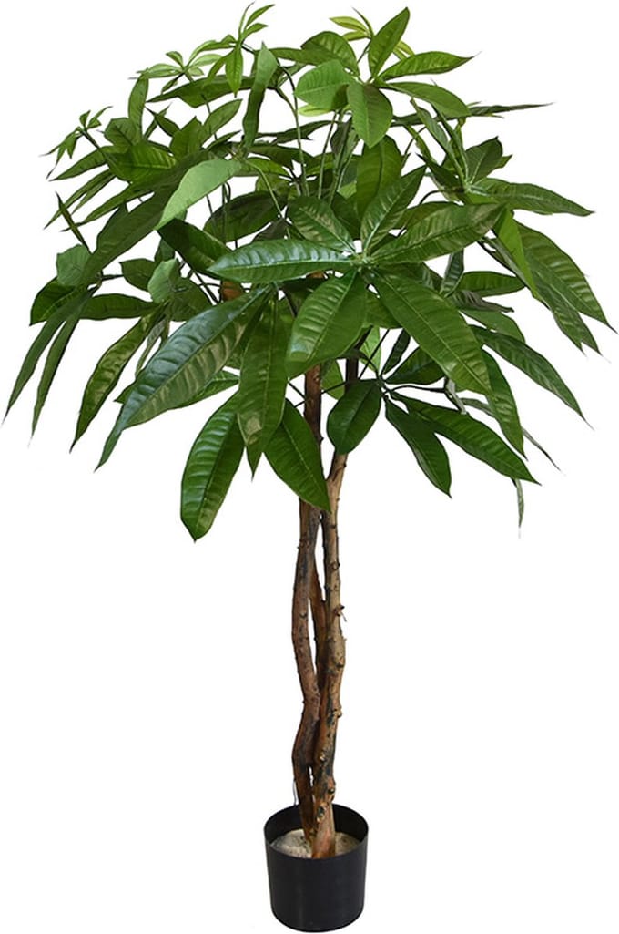 Pachira bal kunstplant op stam 75cm