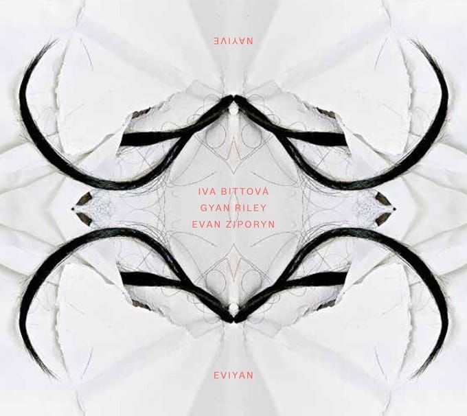 Iva Bittová, Gyan Riley, Evan Ziporyn - Eviyan - Nayive (CD)