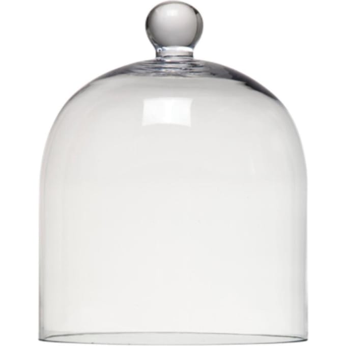 Ted Sparks Glass Dome Accessoires 270 gr
