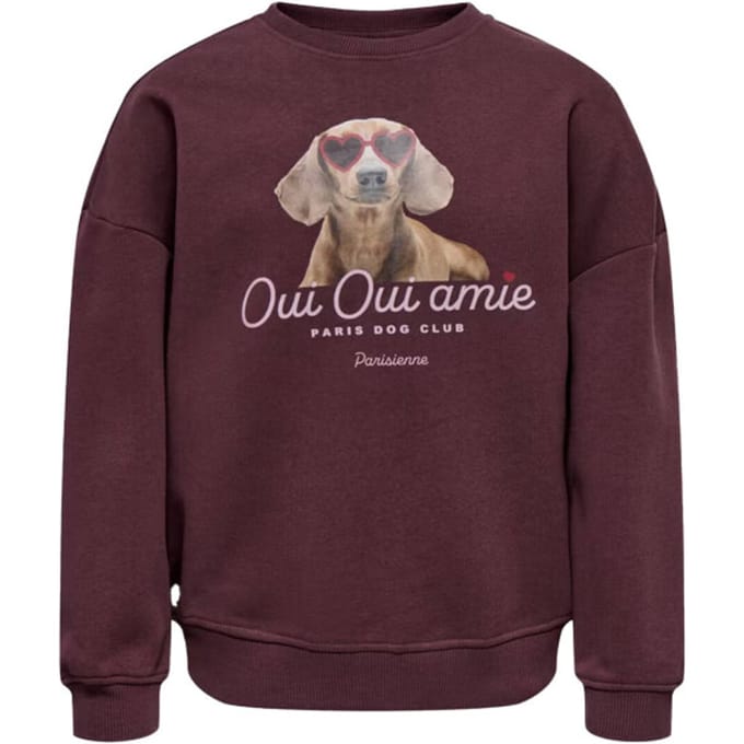 ONLY - KOGBILA L/S OVZ PRINT O-NECK SWT NOOS Dames Trui
