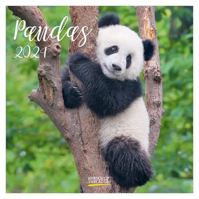 Panda Kalender 2024