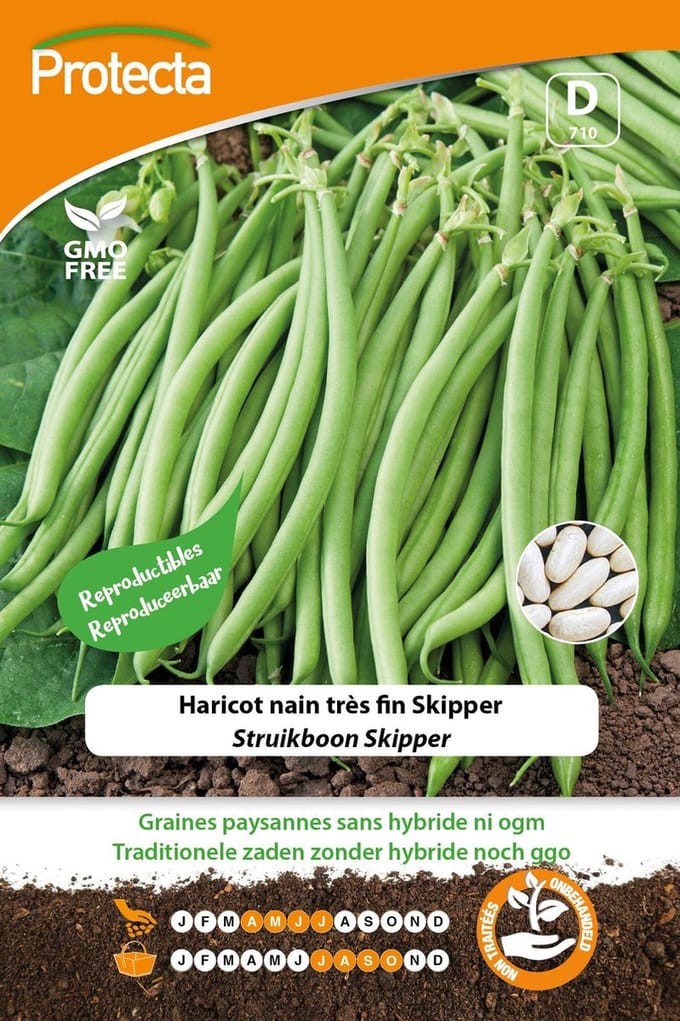 Protecta Groente zaden: Struikboon Skipper 35g