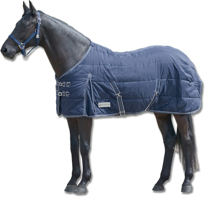 ECONOMIC Stable Rug, 200 G