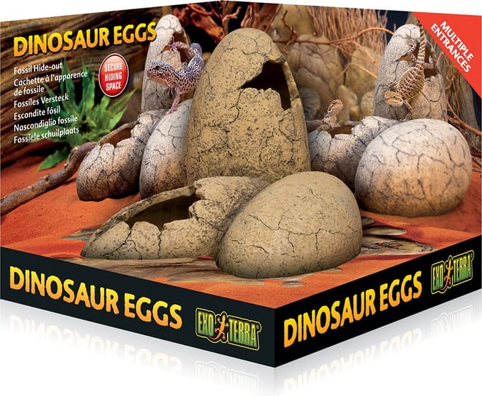 Fossil Hide-out Dinosauer eggs