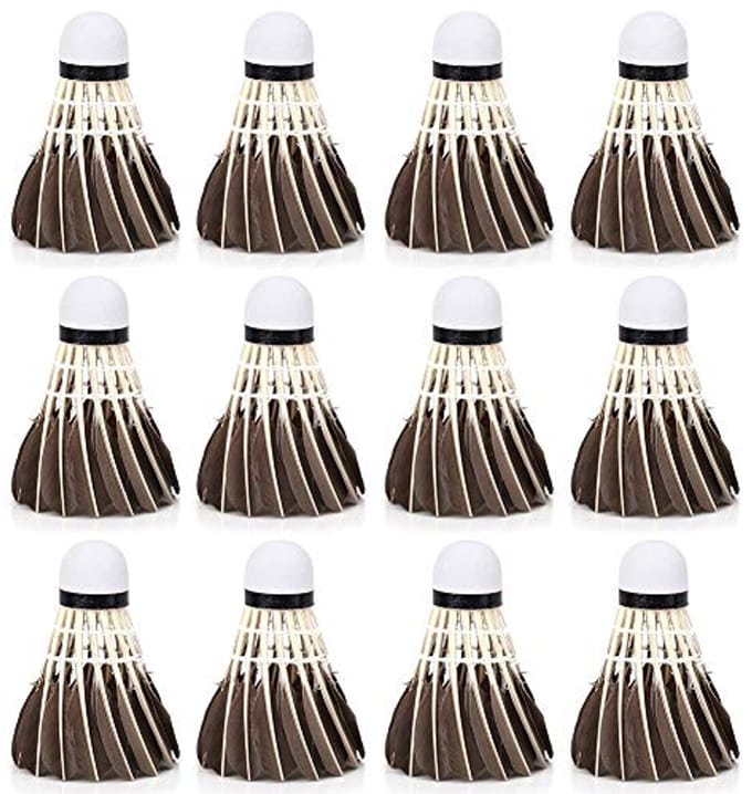 12 Professionele Badminton Shuttlecock Set - Herbruikbare Veerballen voor Beginners en Training