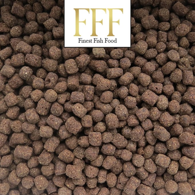 Finest Fish Food Premium Koivoer 6mm 5 kilo
