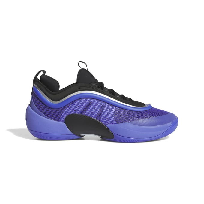 Basketbalschoenen adidas D.O.N. Issue 5