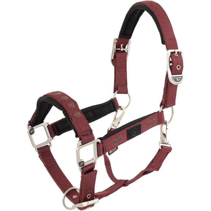 Halster BR Equitation Eevolv Karin