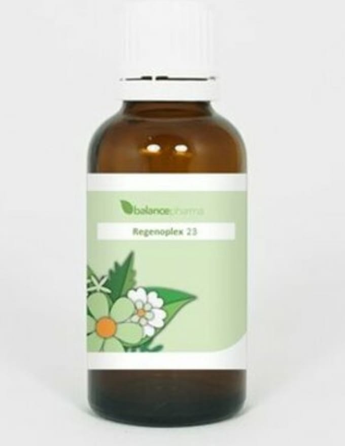 Balance Pharma Rgp023 Bijnieren Regenoplex