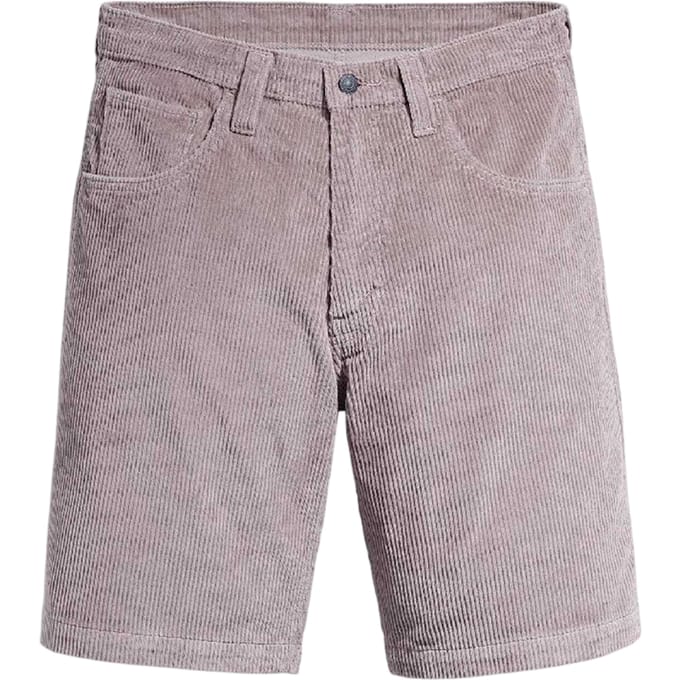 Levis Heren Denim Normale Korte Broek (Zilver)
