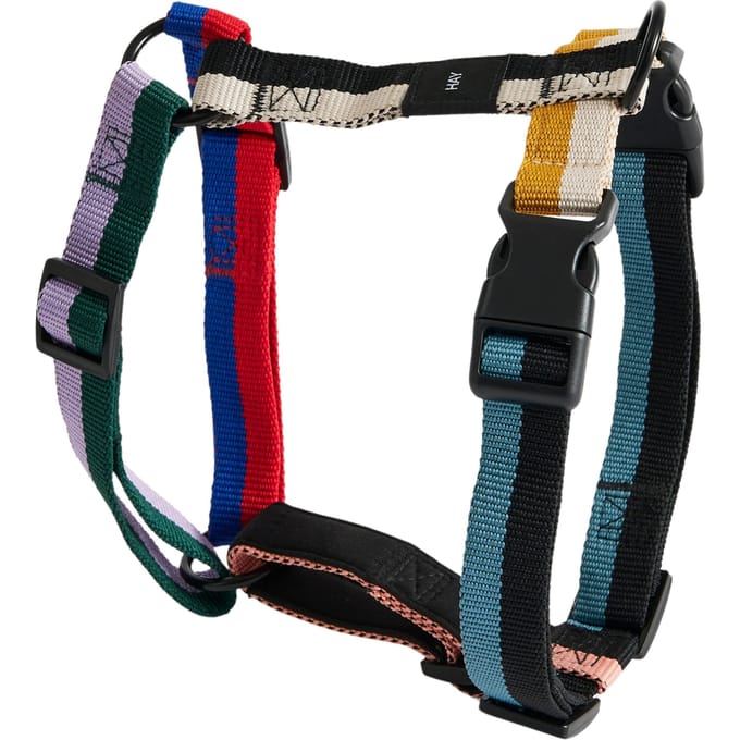 HAY Dogs Hondentuig - multicolour