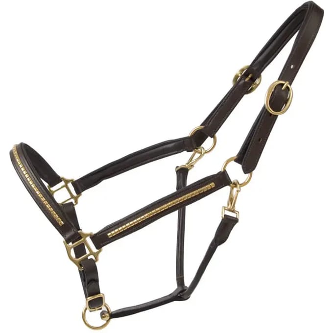 Lederen halster voor paarden T de T Clincher