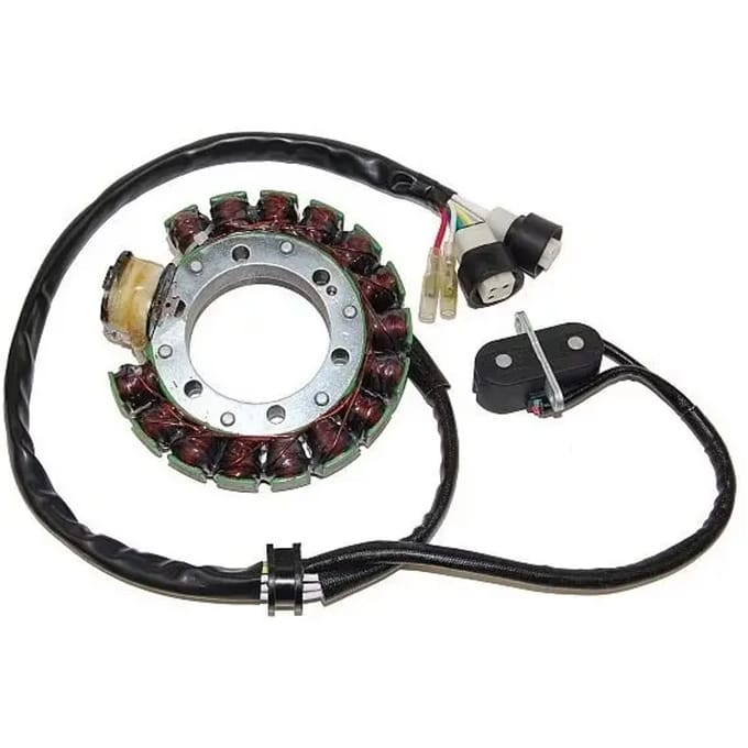 Originele aanpasbare motor dynamo Electrosport Yamaha