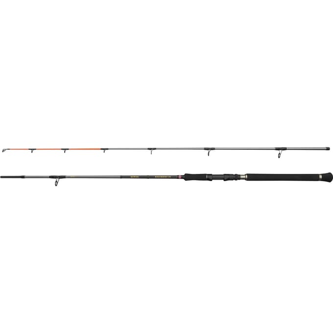 Spinhengel Penn Regiment IV Pilk 20-80g
