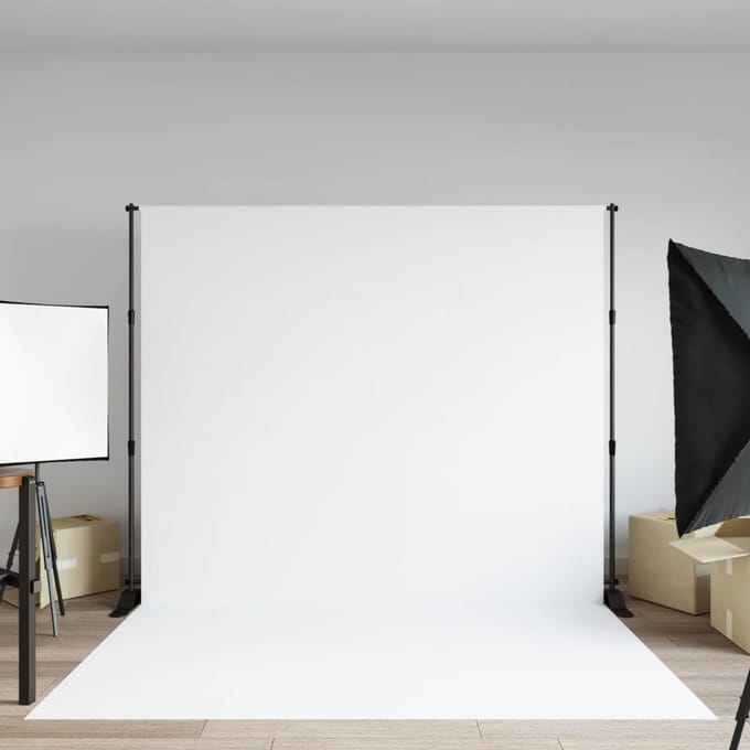 vidaXL - Achtergrondstandaard - 254x243 - cm - staal - zwart
