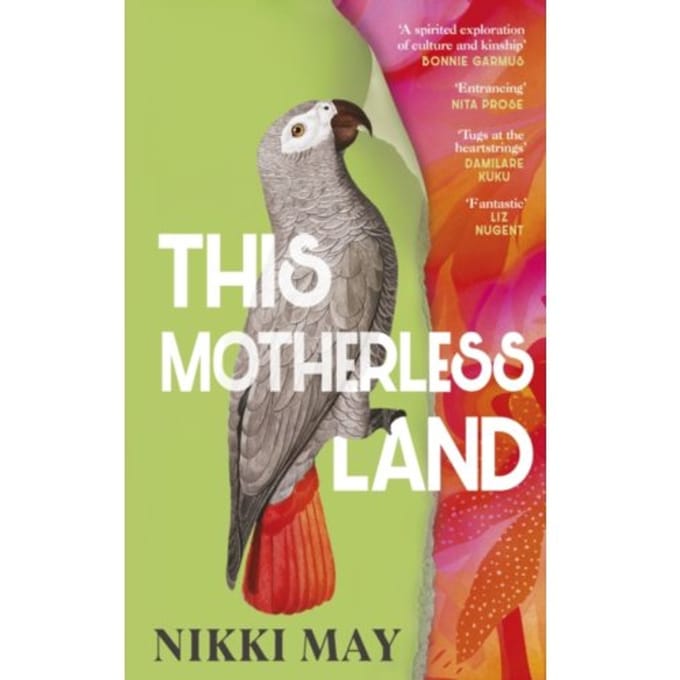 This Motherless Land - Nikki May