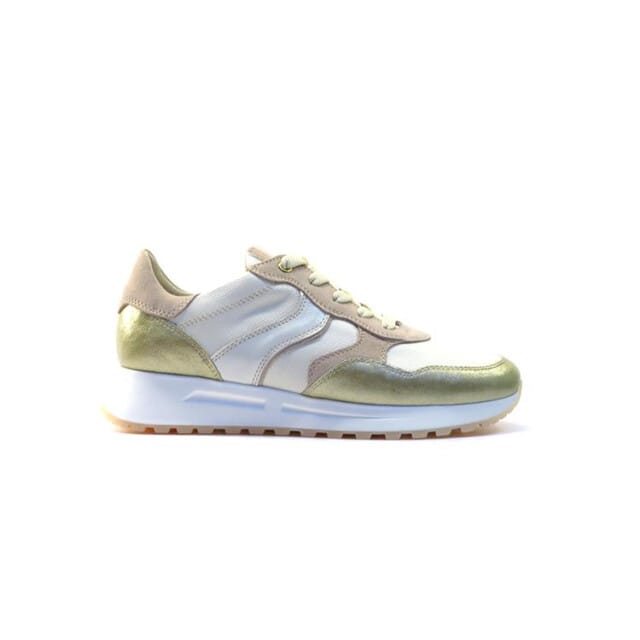 DL Sport 6527